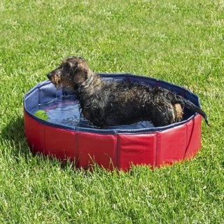 Gadgets d'Eve POOLOG™ : Piscine pour Chien Pliable et Portable