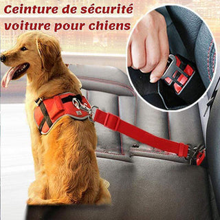 Gadgets d'Eve animaux de compagnie SECURIL™: Ceinture de sécurité voiture pour chiens